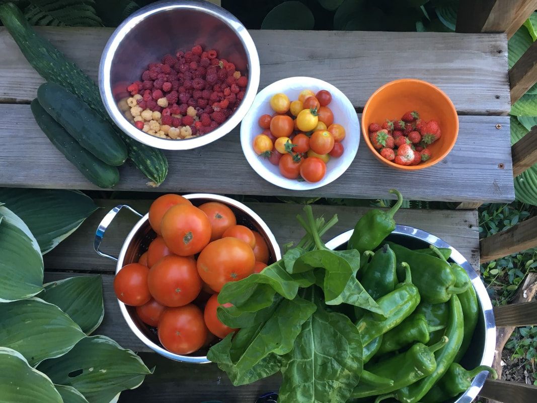 Garden Harvest in many bowls on the back porch stairs