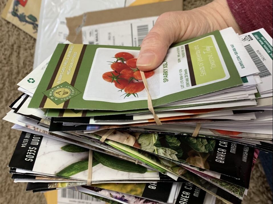 Picture of a huge handful of seed packets