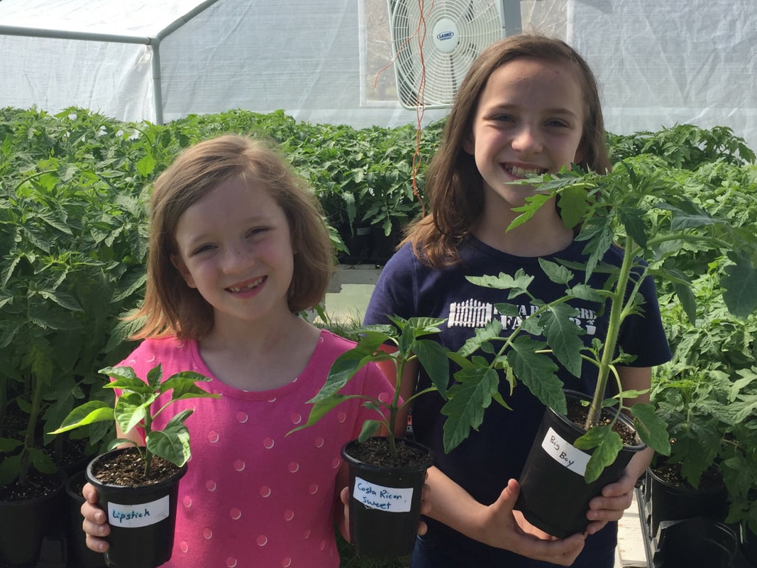 My girls holding tomato and pepper plants in the greenhouse