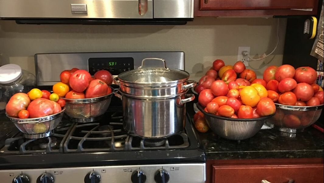 Tomatoes washed and in bowls ready to be blanched, peeled and sliced for canning